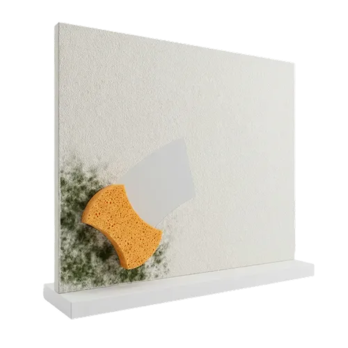 Commercial Mold Remediation in Bergen County