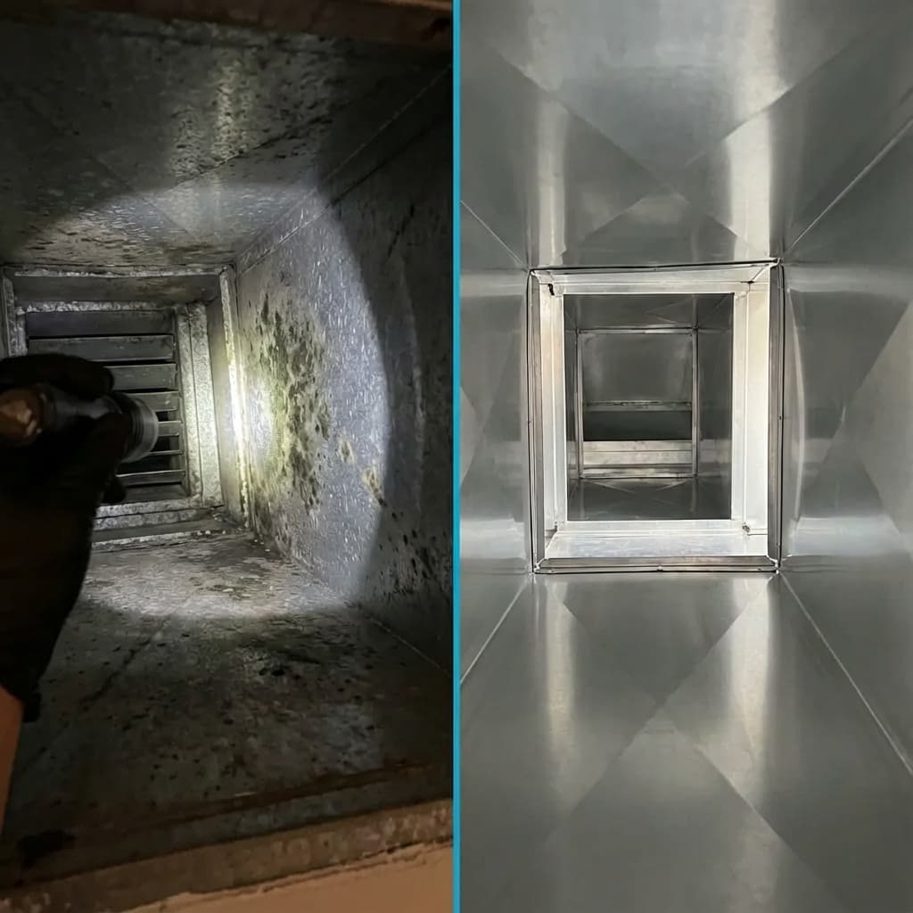 Case Study - Air Handler Coil Cleaning & Duct Sanitization